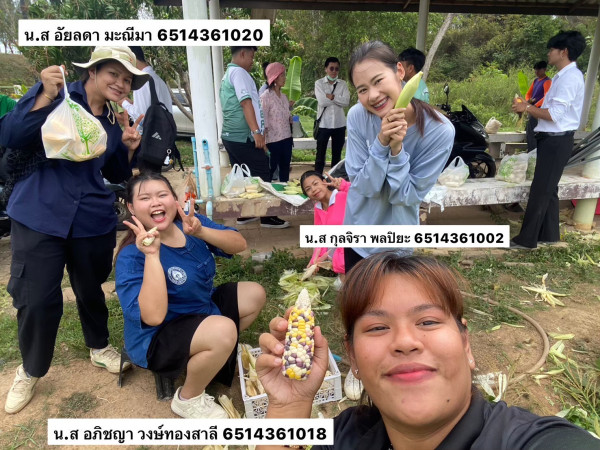 กรณีศึกษา ทางเลือกอาหารที่ดีต่อสุขภาพและราคาไม่แพง